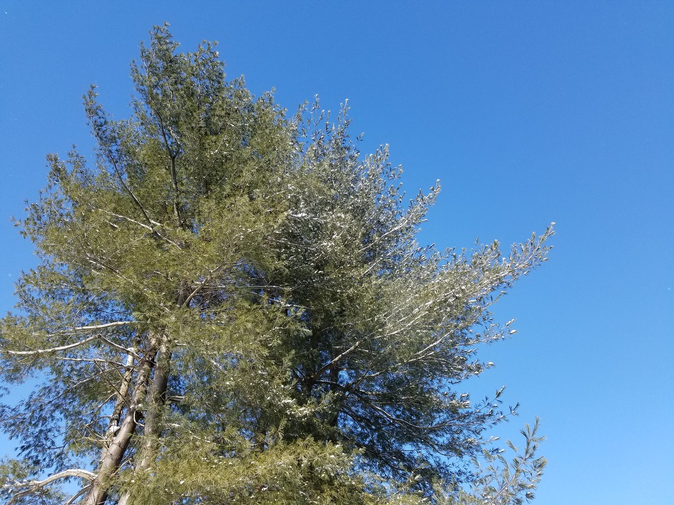 겨울 하늘