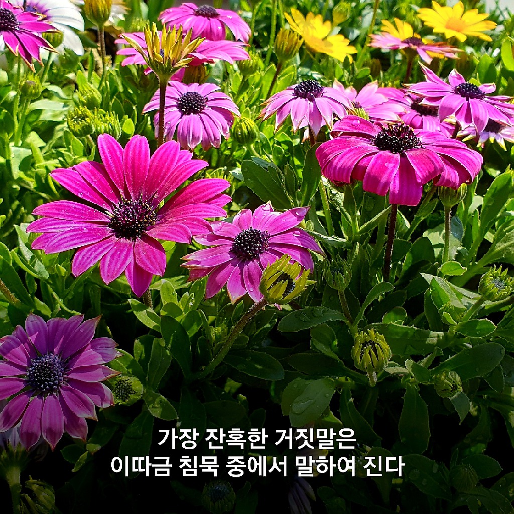돈을 빌려주면 