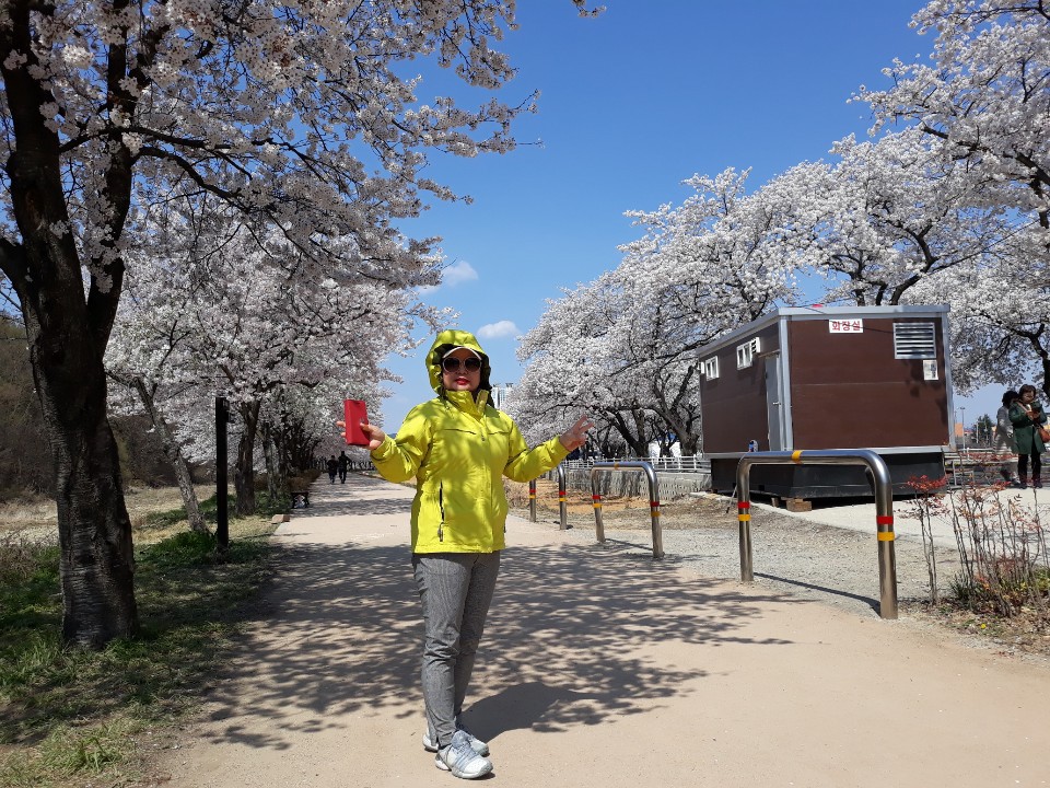 옥포벗꽃축제