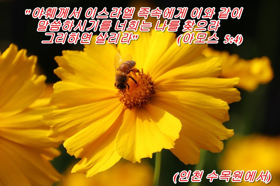 아모스 5장 4절 말씀 