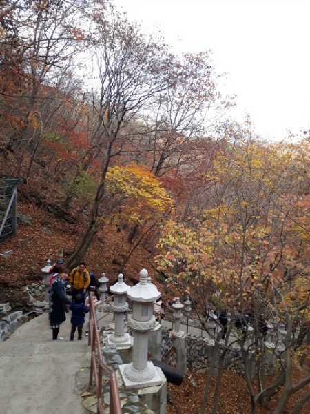 만추의 가을 그곳으로...