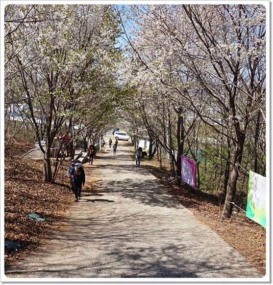 여수 진달래꽃 산행 명산 - 영취산 등산코스