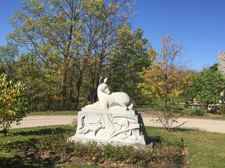 [The Grove Redfield Estate] 억새가 있는 동네 공원에서 가을을 느껴 본다.(Glenview/IL)