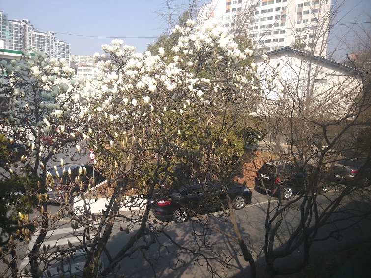 정년퇴임을 생각 하면서