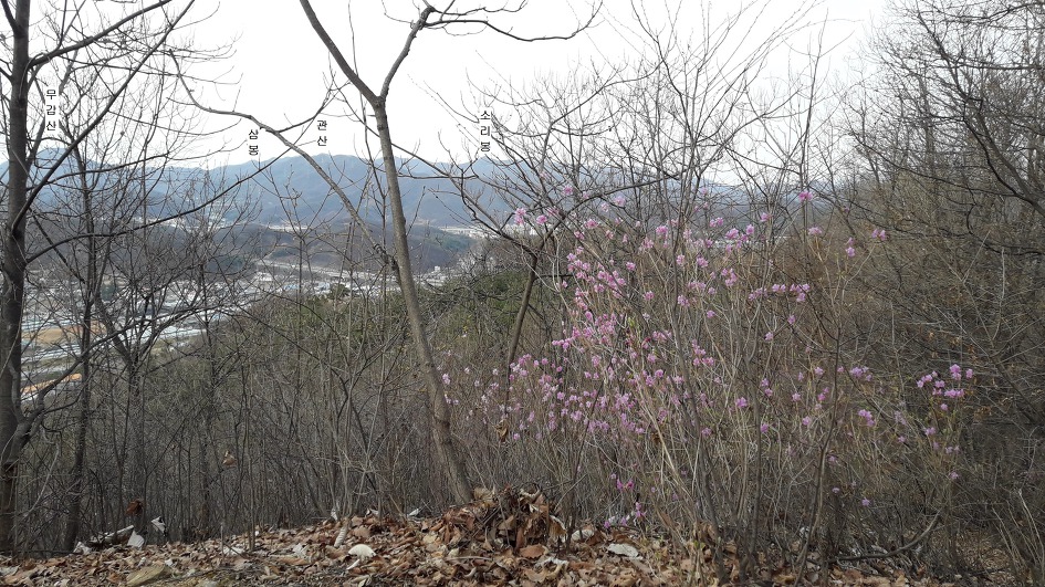 광주 태화산 미역산지나 섭산 웃골산 산길(2019년4월7일)