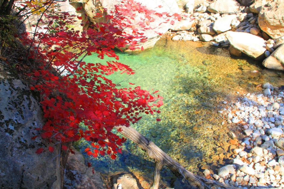 설악산 내설악 만경대 산행 / 201281013(토)