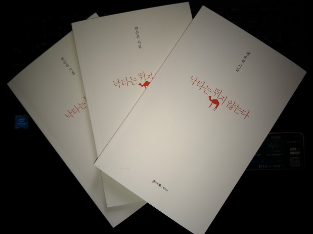 993CFB4F5A7523E01F1918