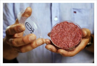 인구 증가에 따른 '인공고기 햄버거' 딜레마