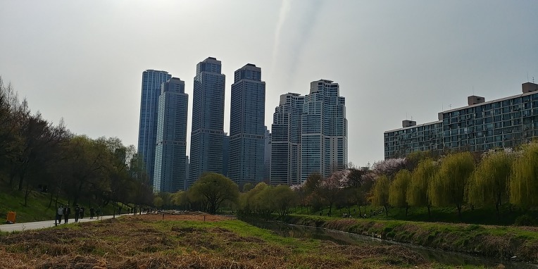 [서울] 양재천 벚꽃축제~ & 양재천 산책로 !!!