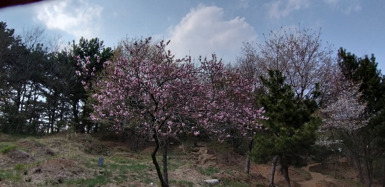 2019년 03월 29일