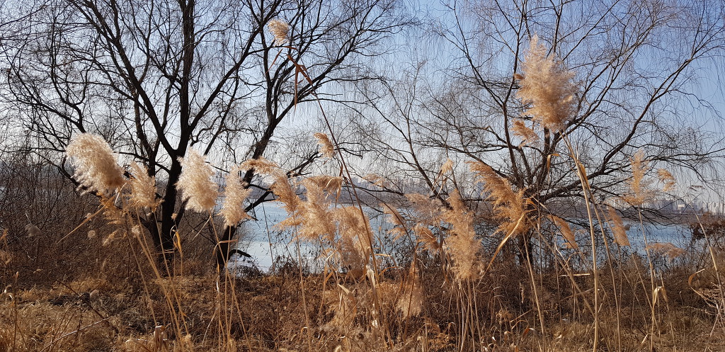 참 오랜만에 산책했다