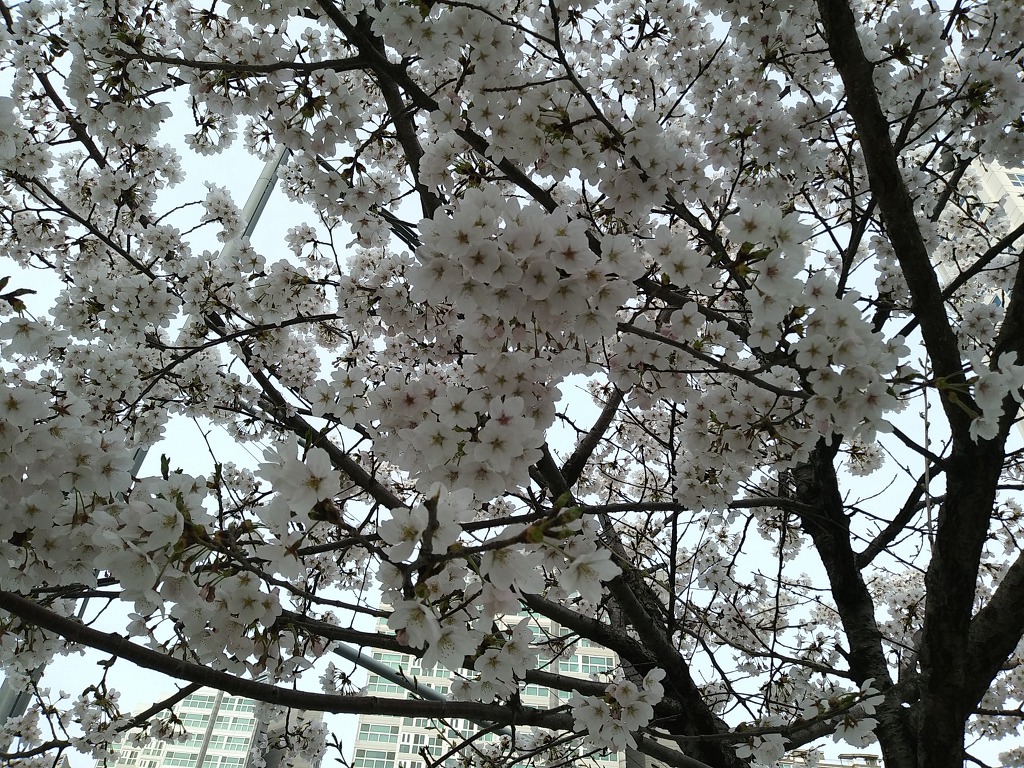19.4.7(일)