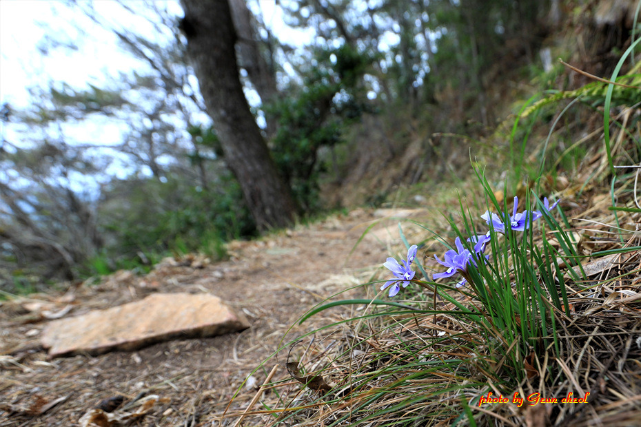 느림의 쉼표..청산도..2019.04.07 