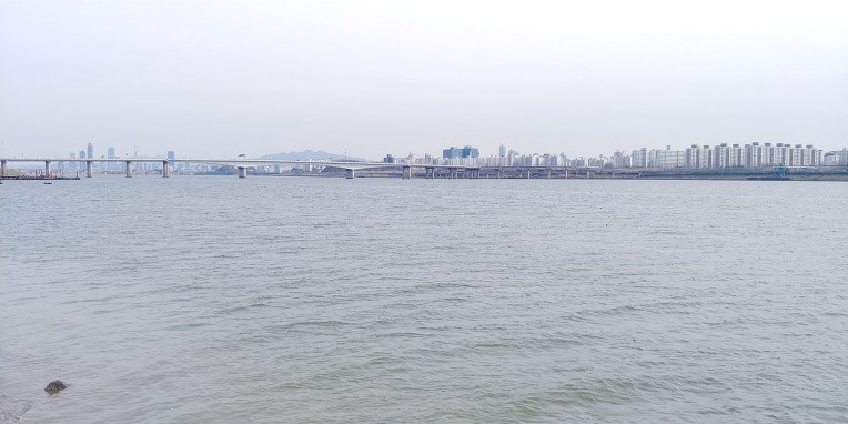 여의도 벗꽃 라이딩