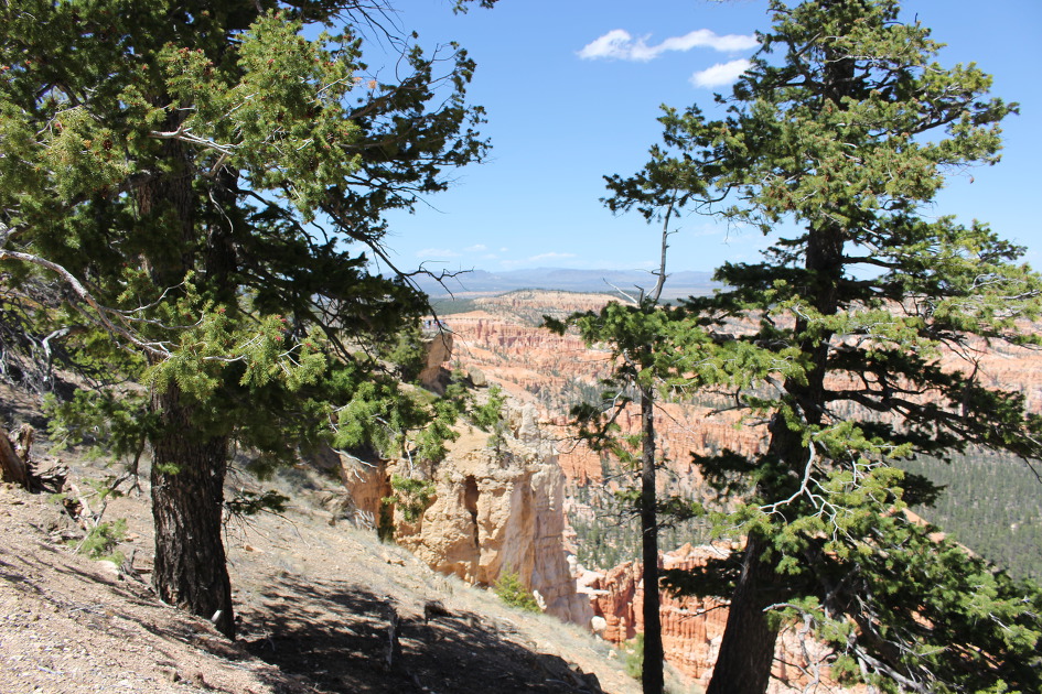 [Bryce Canyon NP]붉은색,주황색, 분홍색이 선명한 후두가 만든 마치 다른 세상 같은 미로[그랜드 서클 여행 #5]