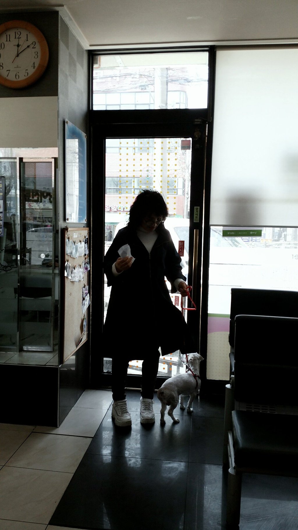 2019. 4. 5(금)말티즈 믹스견 모세군 병원2차