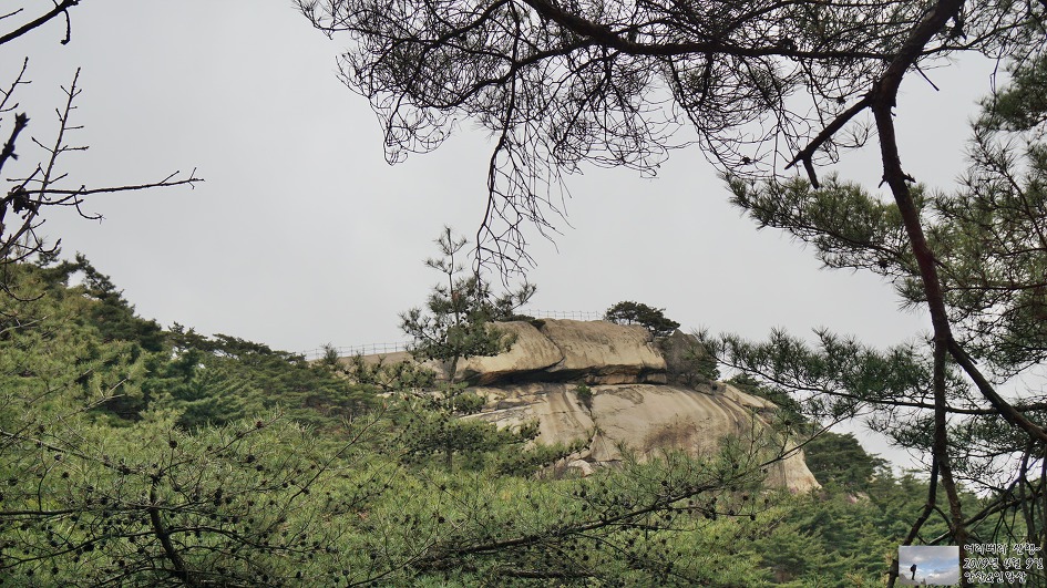 서대문,안산 & 인왕산...개나리,진달래가 흐드러지게 피어있고~