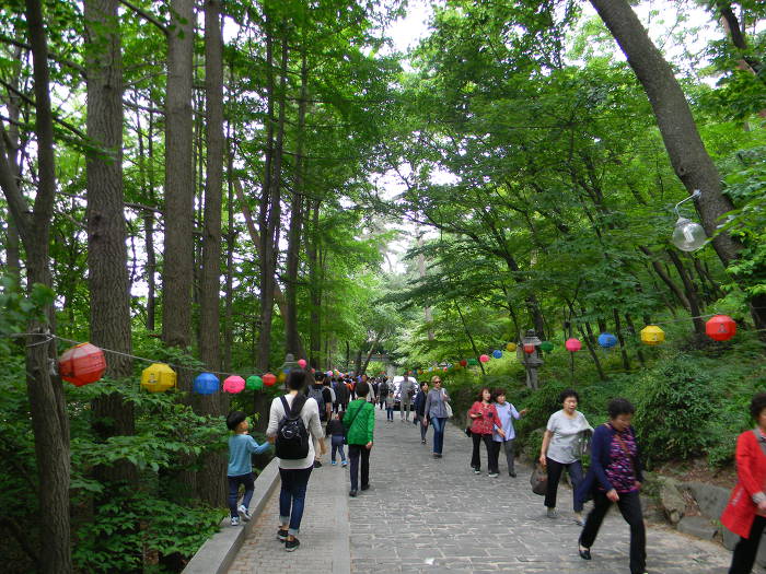 정릉동 경국사 마무리 ~~~ (천태성전, 독성탱, 산신탱, 영산전, 경국사 숲길)