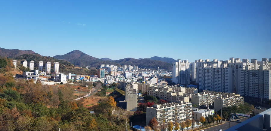 스톡홀롬증후군 과 리마증후군