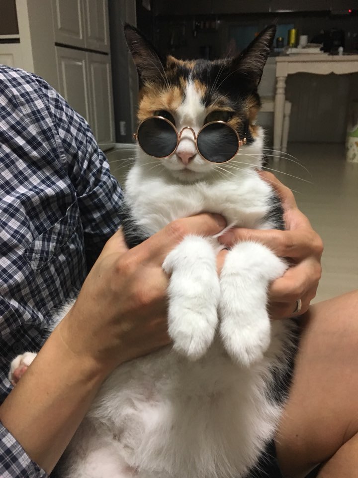 루마니아이야기 63