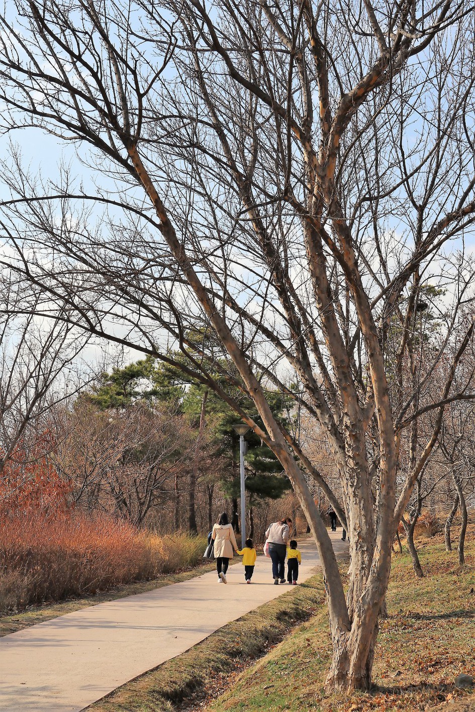 1년 전, 뚝섬 '서울숲의 봄' 풍경을 리뷰하였습니다.    (20180314)