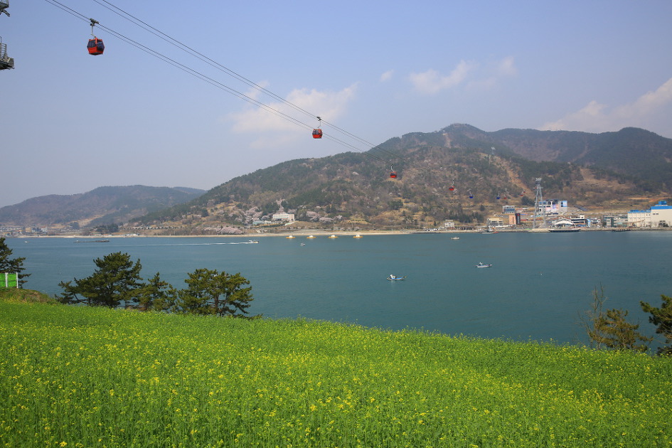 삼천포의 봄