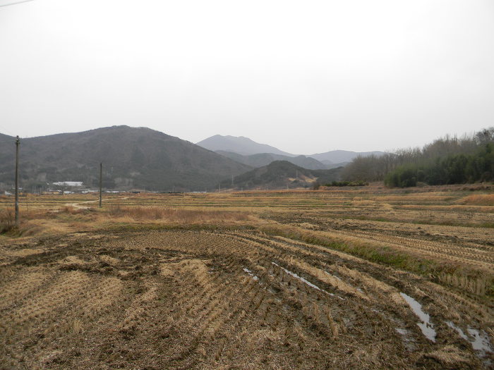 광주 충효동 취가정 (취시가 표석)