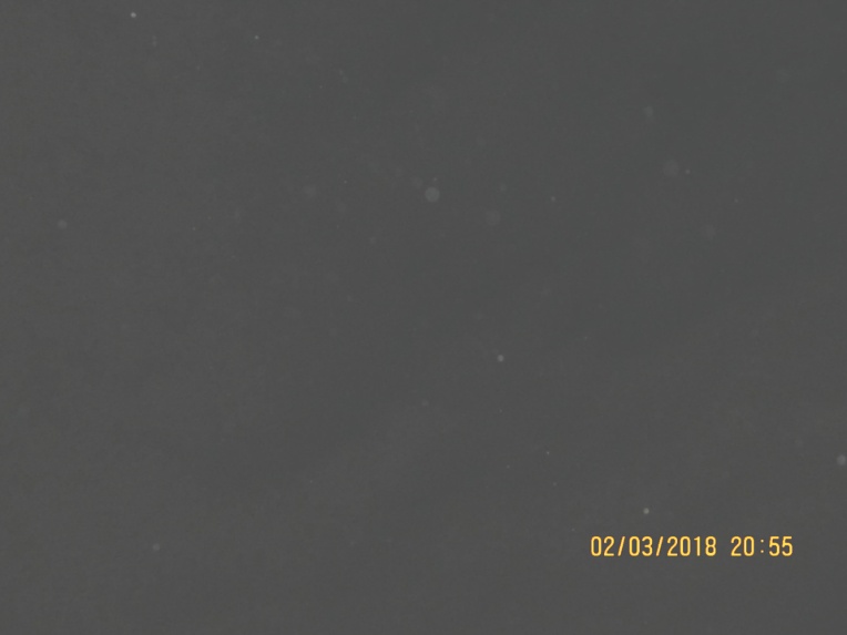 2018. 3. 2(금) 정월대보름날 가족나들이
