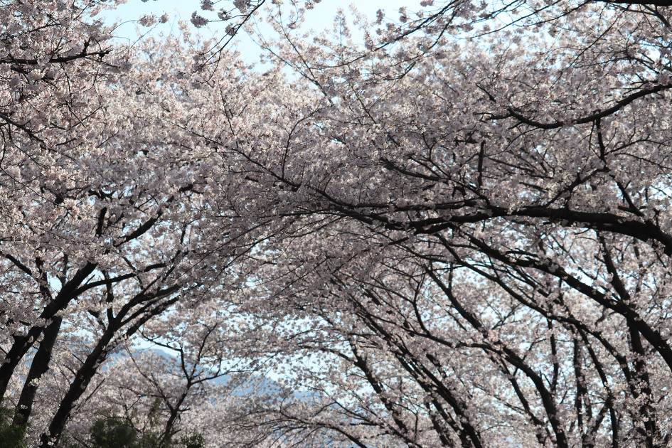 경화역에서