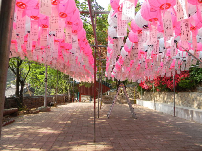 홍은동 백련산 백련사 (연분홍 연등의 고운 물결, 극락전, 괘불, 석조관음보살입상)