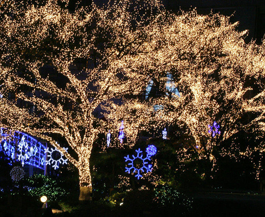 99B234335A25079F28F11E