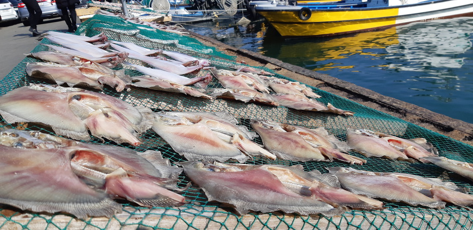 통영의 벽화마을 동피랑을 다녀왔습니다.