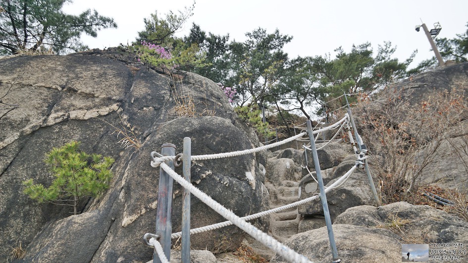 서대문,안산 & 인왕산...개나리,진달래가 흐드러지게 피어있고~