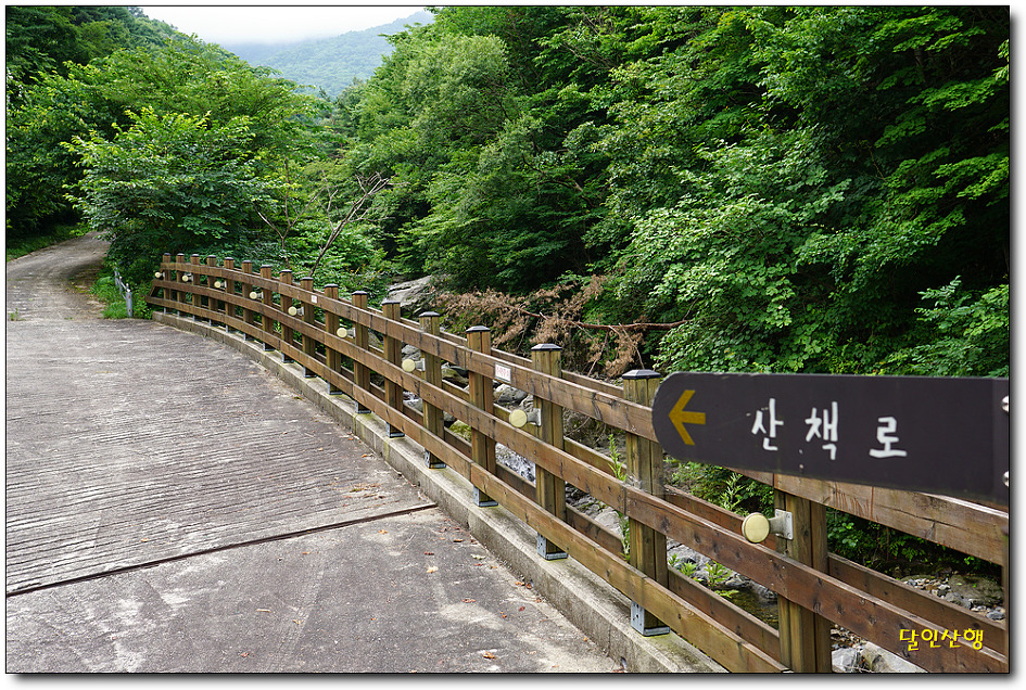 비린내골산장 이미지