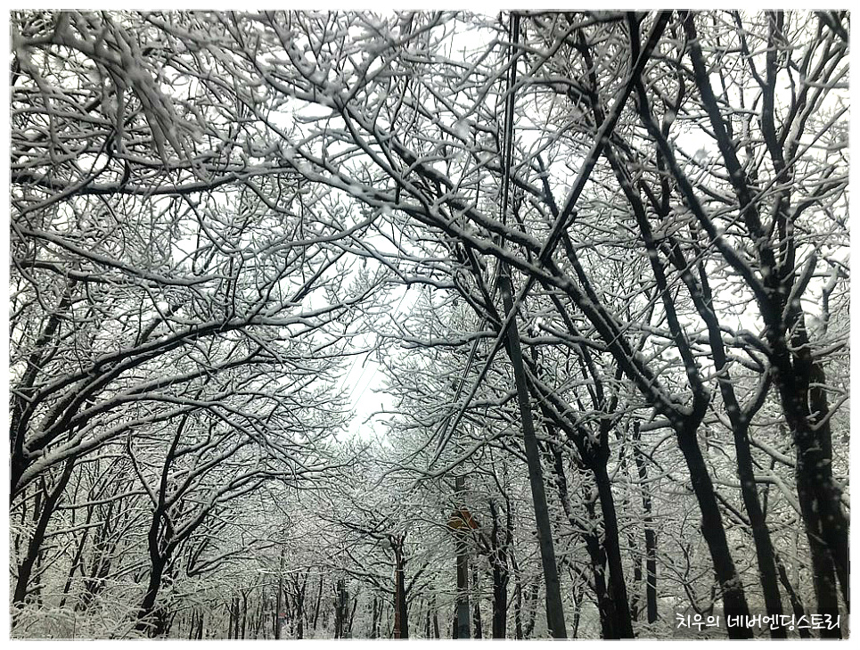 눈 내린 부산 금정산성로(金井山城路)의 소경(小景)/ 목필균의 함박눈