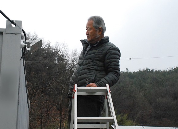 뒤 뜰을 밝히고