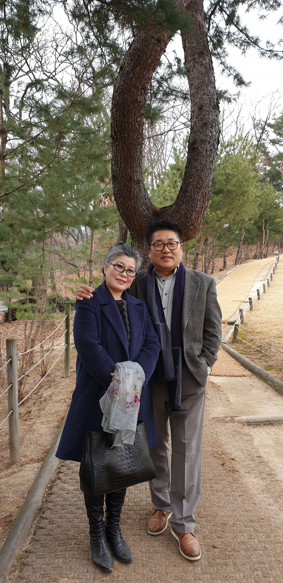 방학동 은행나무집 참 봉평모밀﻿