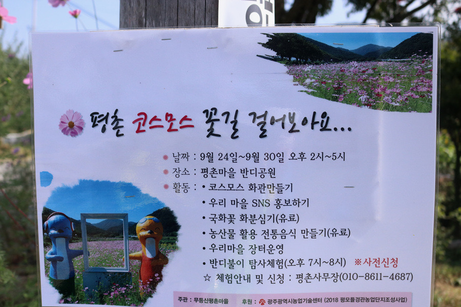 광주세계수영선수권대회 수리와 달이 평촌 코스모스꽃길 걸어보아요