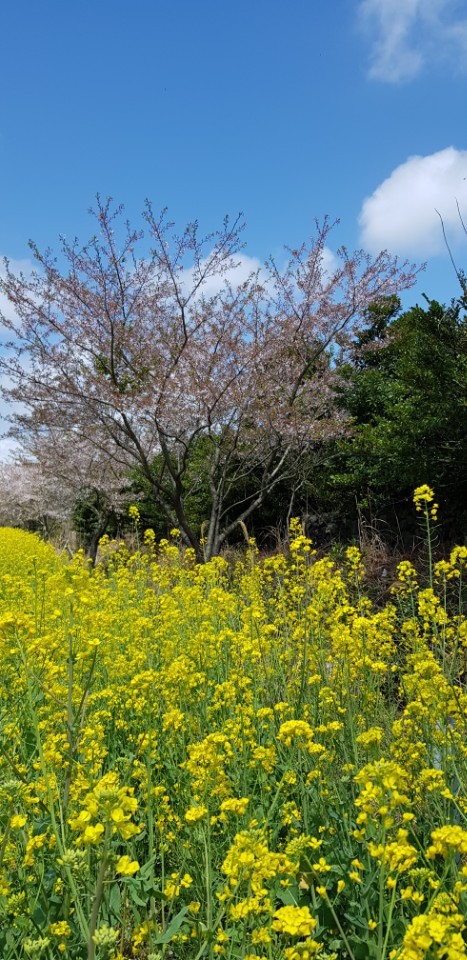 영원히 함께 할 사랑