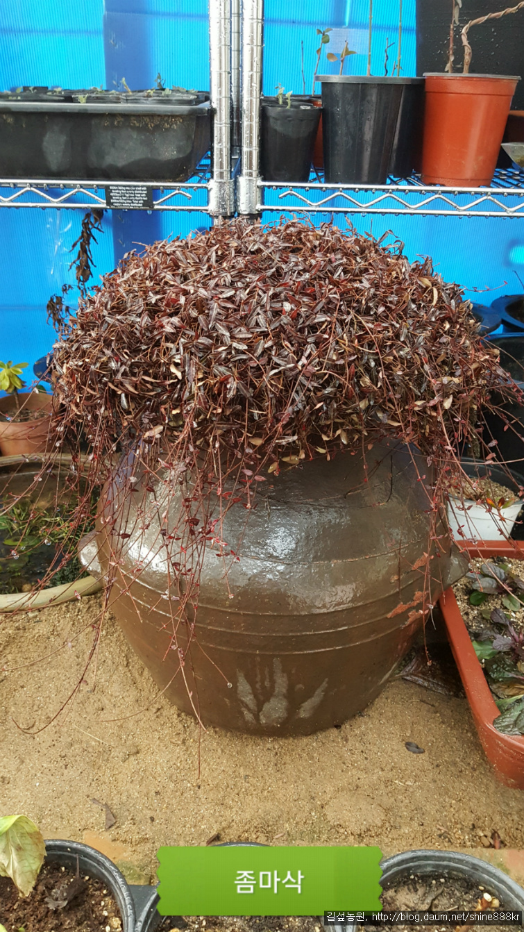 궁기 이미지