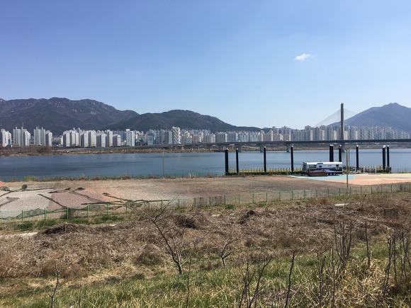낙동강 자전거길 "대저생태공원"