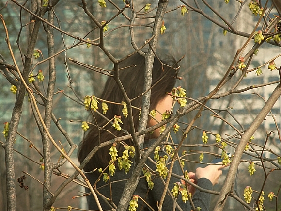 고운햇살 이미지